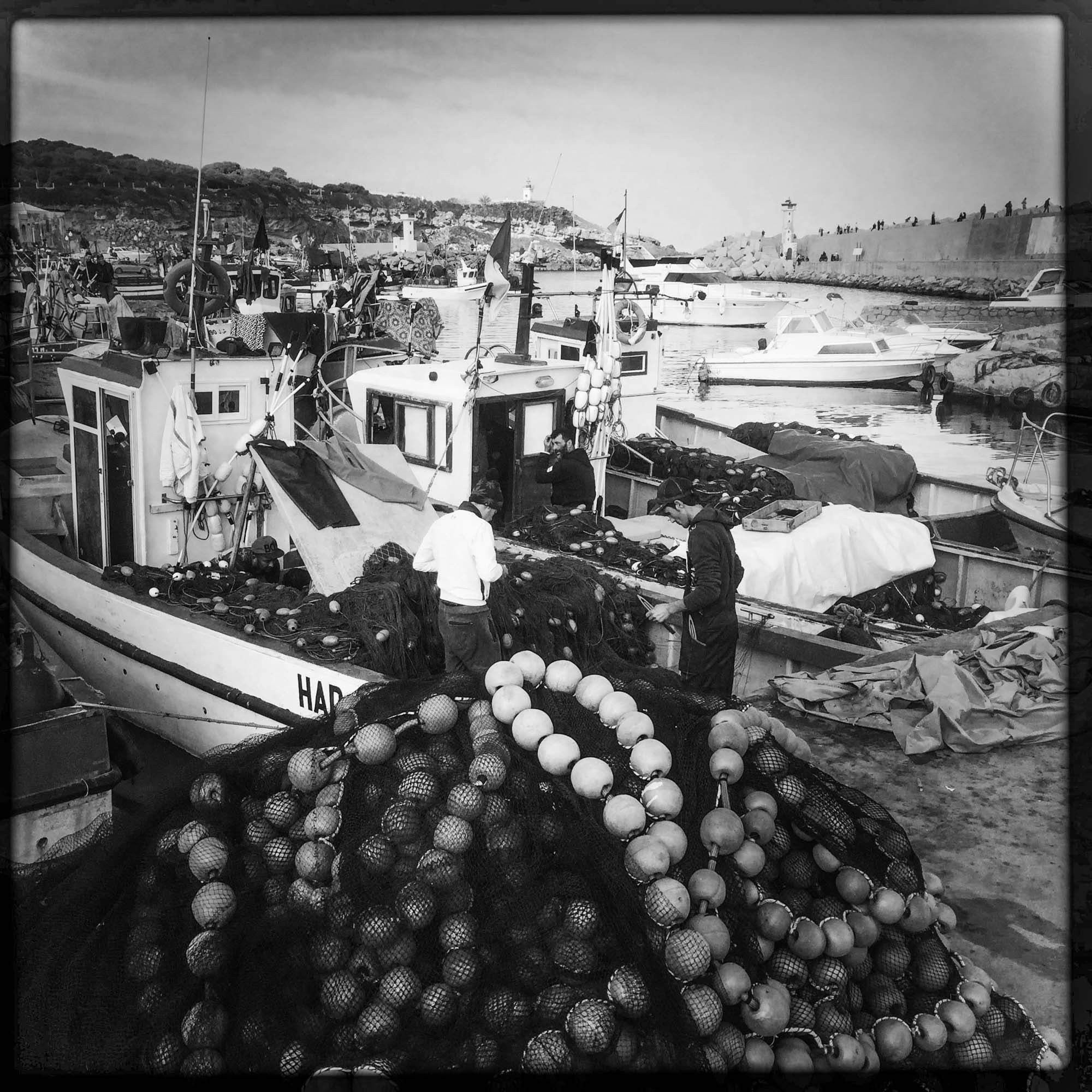 Des marins inspectent leurs filets dans le petit port de Tipaza. 31/06/2016, Tipaza-ALGER.