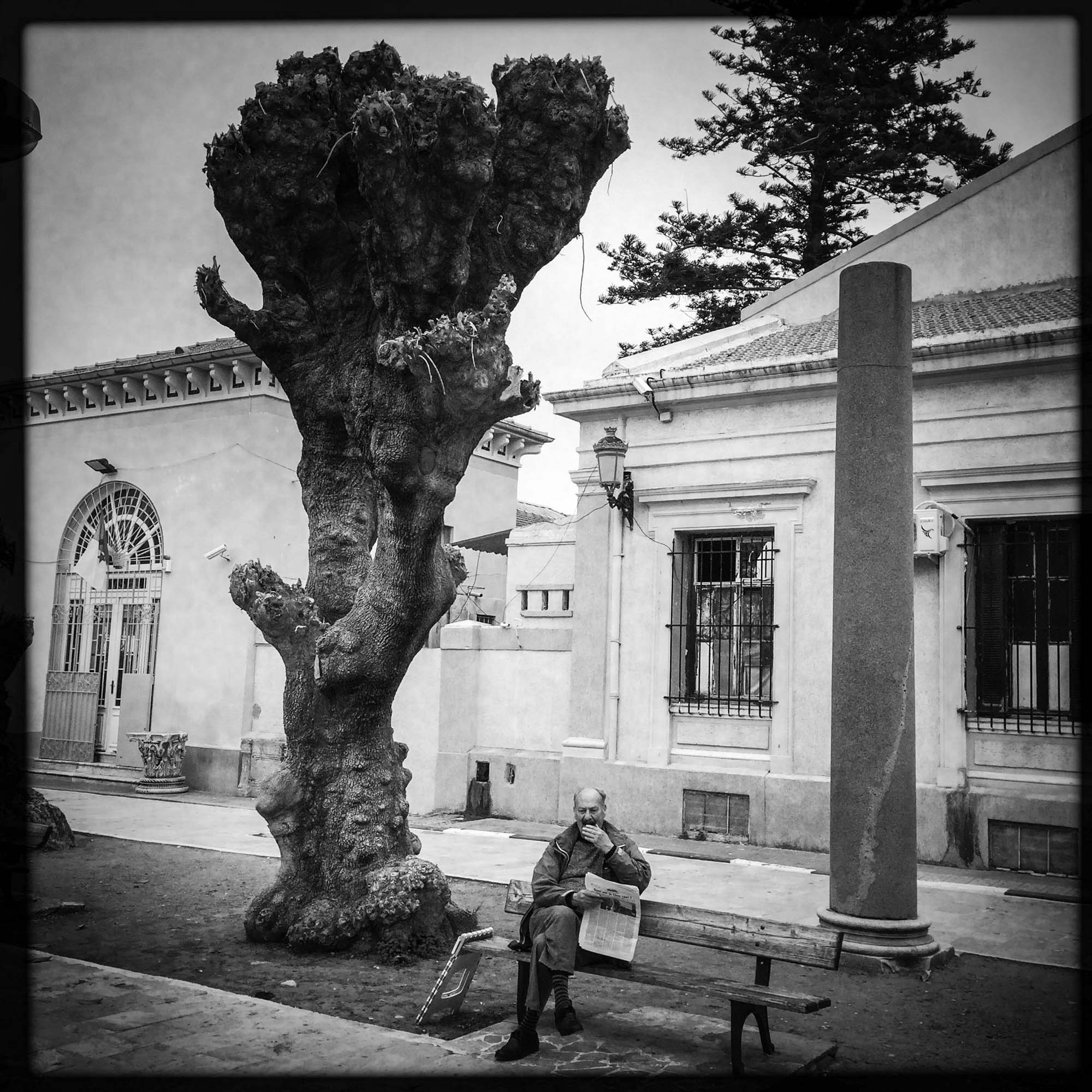 Un homme assis sur un banc  dans un jardin ou l'on retrouve des vestiges Romains baille. 11/02/2016, Cherchell-ALGERIE.