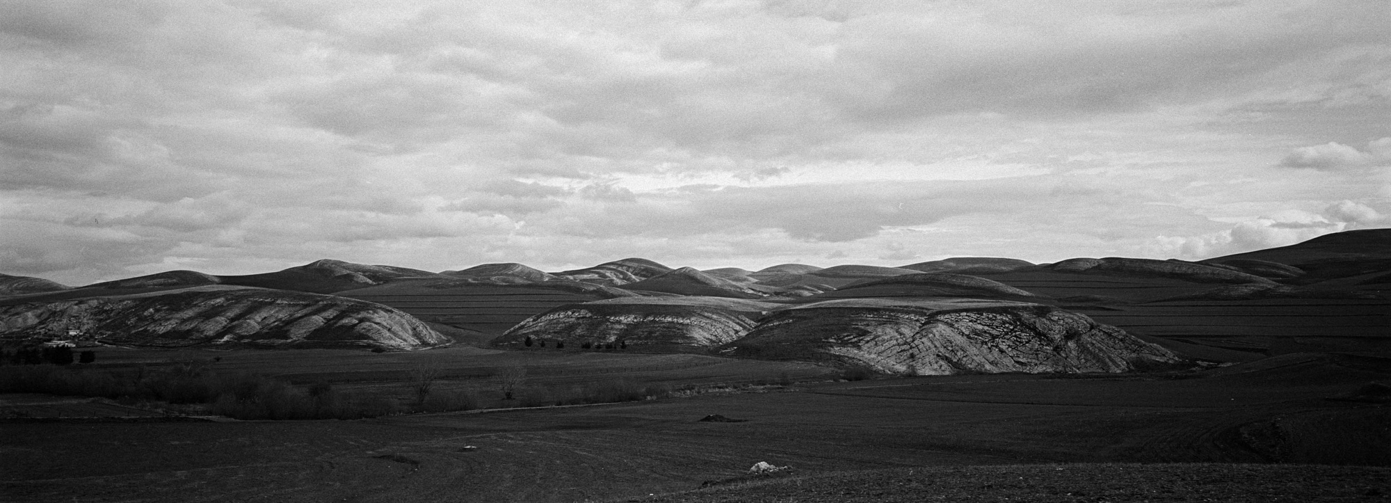 Paysage de la campagne près de Guelma. 10/02/2016-ALGERIE.